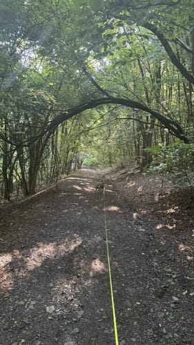 Halde Rheinpreußen - Waldsee - Lohheidesee