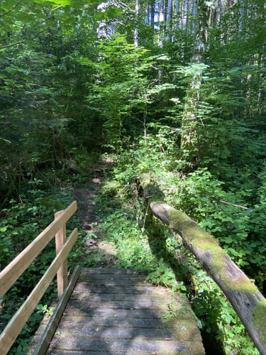 Ühlingen - Waldschänke - Birkendorf