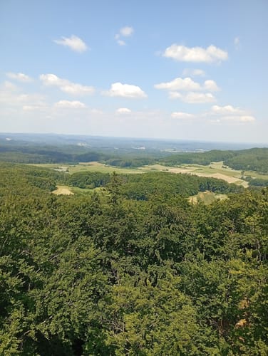 Eschenfelden Rundweg 11