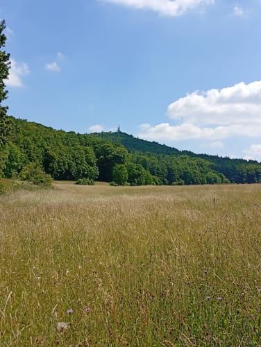 Eschenfelden Rundweg 11