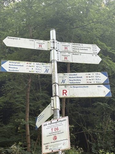Neckarsteig Etappe 7: Neckargerach - Mosbach
