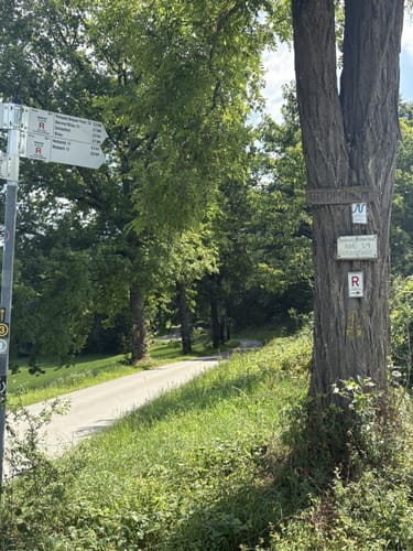 Neckarsteig Etappe 7: Neckargerach - Mosbach