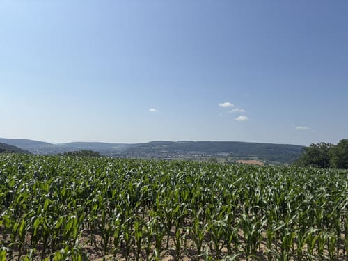 Neckarsteig Etappe 7: Neckargerach - Mosbach