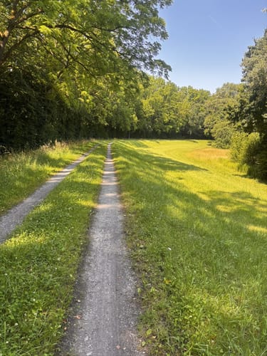 MTB: Große Runde Altrhein und Kanal