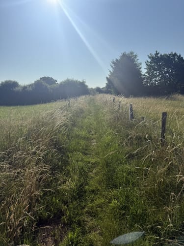 Drevenack Rundweg A1