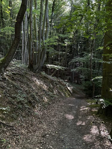 Von Unkel nach Erpel