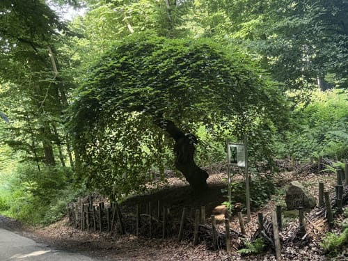 Wittekindsweg Etappe 5: Nettelstedt - Porta Westfalica