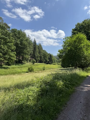 Grenzweg (Premiumwanderweg)