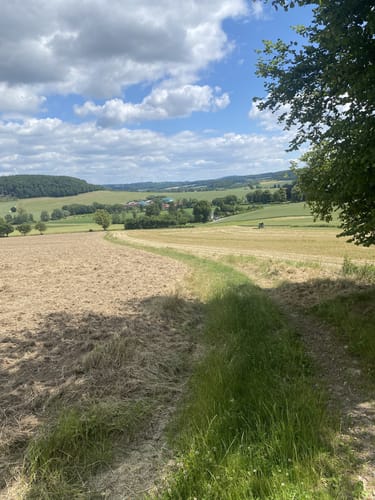 Weg der Sinne