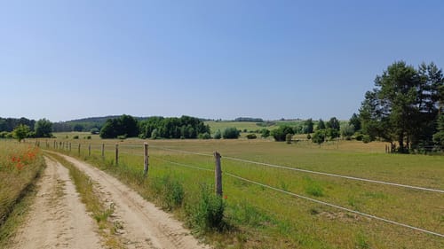 MTB Tour: Rund um den Oberuckersee