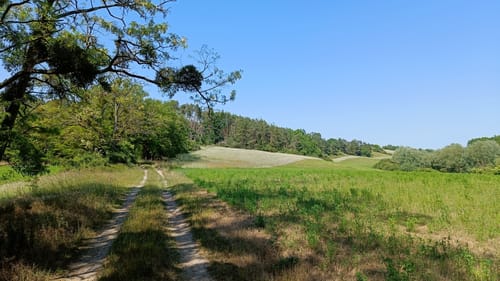 MTB Tour: Rund um den Oberuckersee