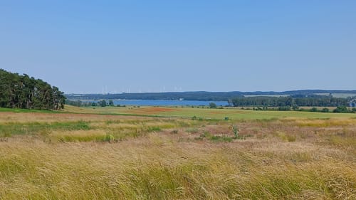 MTB Tour: Rund um den Oberuckersee