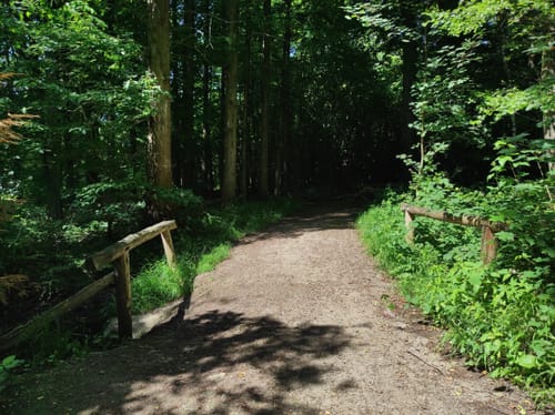 Dachsweg - Rehweg - Ganghoferweg - Uhlenhorstweg