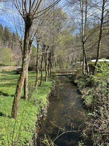 Wanderweg Stelzenberg Horst 3