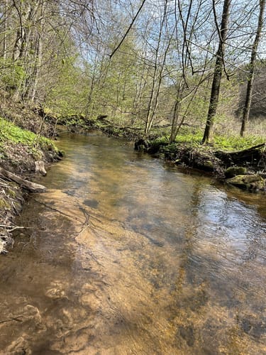 Wanderweg Stelzenberg Horst 3