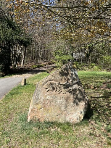 Wanderweg Stelzenberg Horst 3