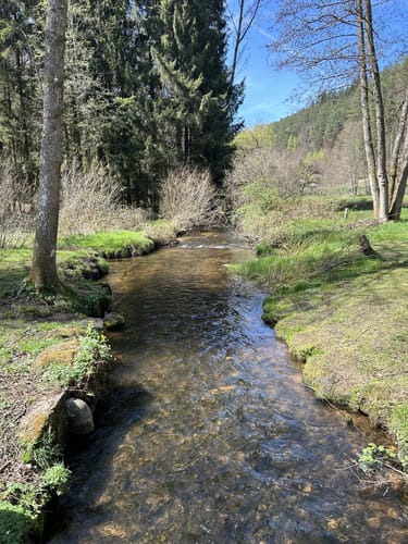 Wanderweg Stelzenberg Horst 3
