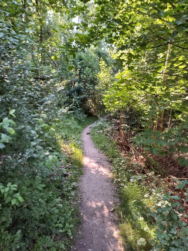 Rundweg Wippertalsperre