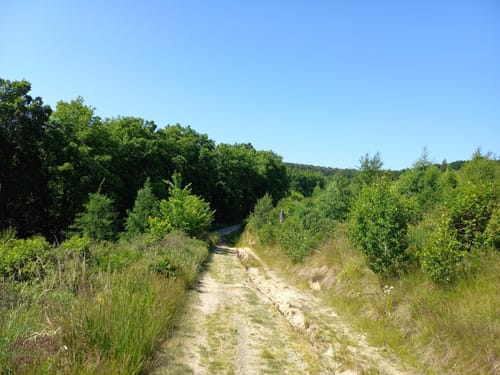 Rundweg Wippertalsperre