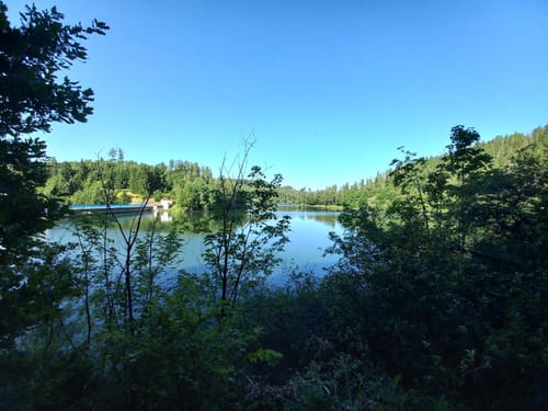 Rundweg Wippertalsperre