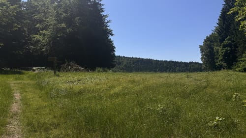 Zu den Schachten und Filzen
