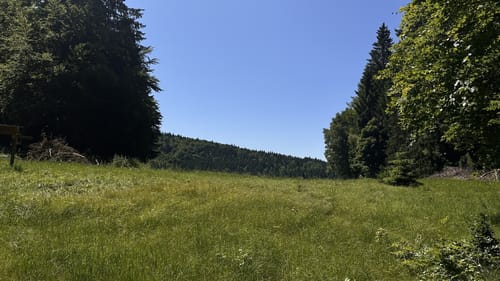Zu den Schachten und Filzen