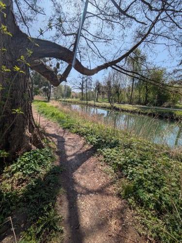 Um den Hohnsensee