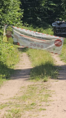 Rundwanderweg 5 (Weidenthal)
