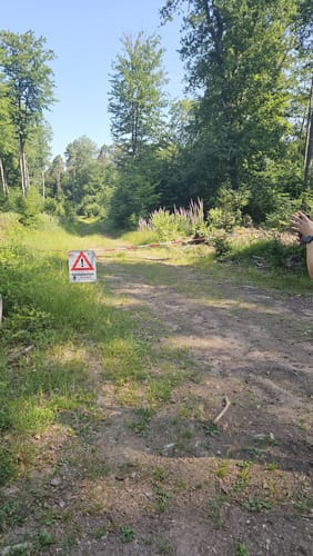 Rundwanderweg 5 (Weidenthal)