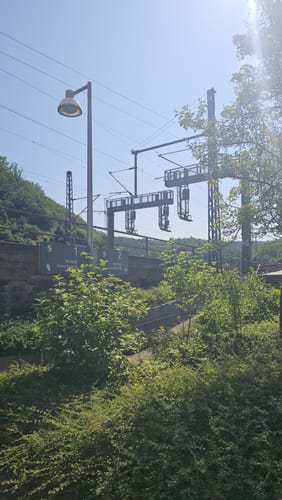 Rundwanderweg 5 (Weidenthal)