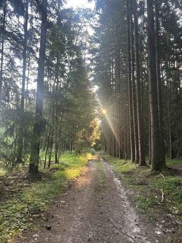 Lehrberg nach Buhlsbach