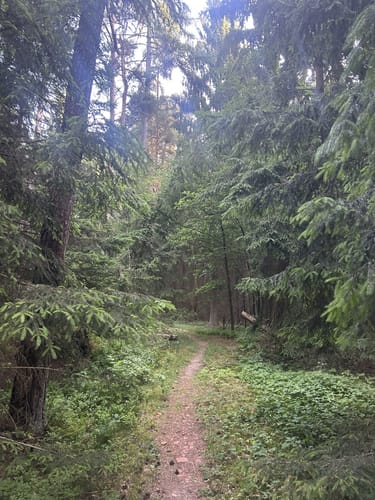 Lehrberg nach Buhlsbach