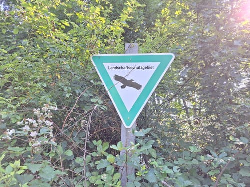 Ökosee Dillingen / Saar