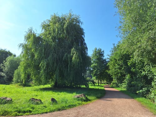 Ökosee Dillingen / Saar