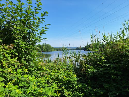 Ökosee Dillingen / Saar