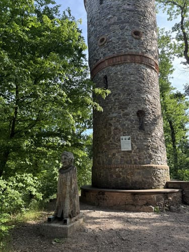 Kräht der Hahn auf dem Hahnenkamm