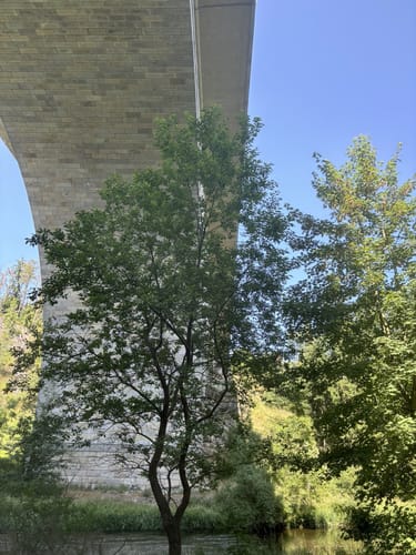 Hof-Neuhof - Saalebrücke