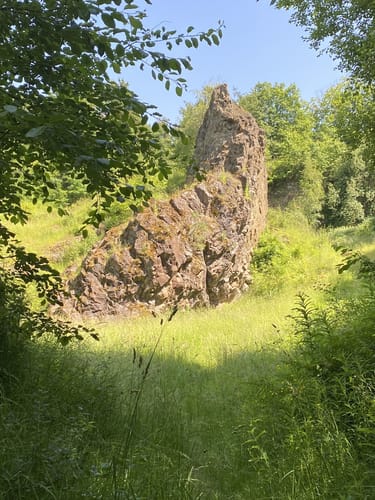 Premiumwanderweg: Über die Blaue Kuppe P3
