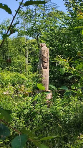 Urwald bei Neuenburg