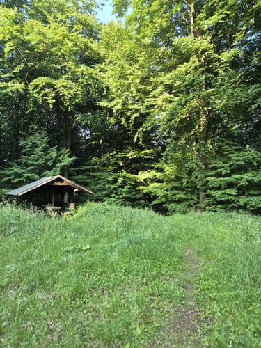 Rumbecker Berg und Ludwigsturm