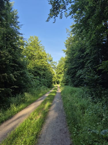 Rumbecker Berg und Ludwigsturm
