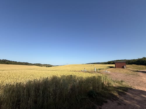 Neinstedt - Thale - Rosstrappe - Blankenburg