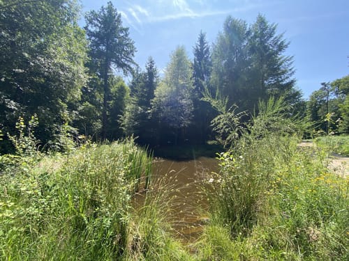 Hendese-Hoher Nistler Rundwanderweg