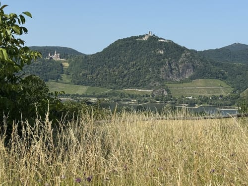 Runde um den Rodderberg