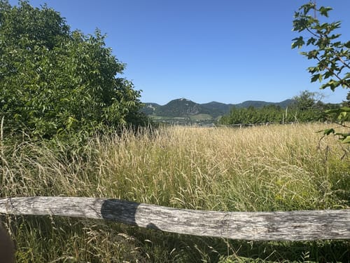 Runde um den Rodderberg