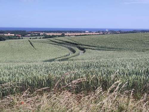 Rundweg Ostseebad Kühlungsborn