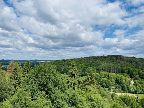 Teutoburger Wald: Tecklenburger Bergpfad und Bocketal