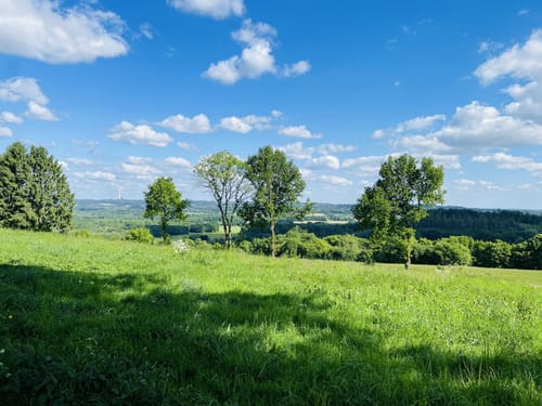 Teutoburger Wald: Tecklenburger Bergpfad und Bocketal