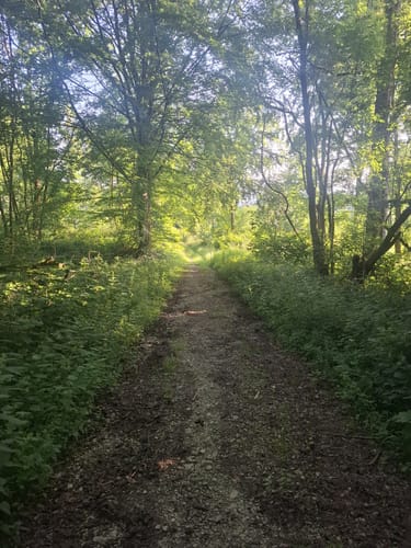 Brunsberg Rundweg