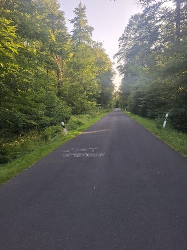 Brunsberg Rundweg